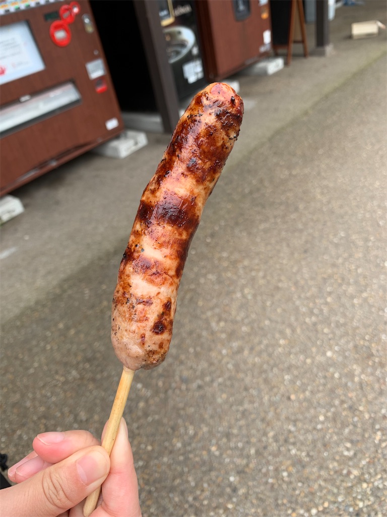 f:id:goukakuigakubu:20220720153315j:image