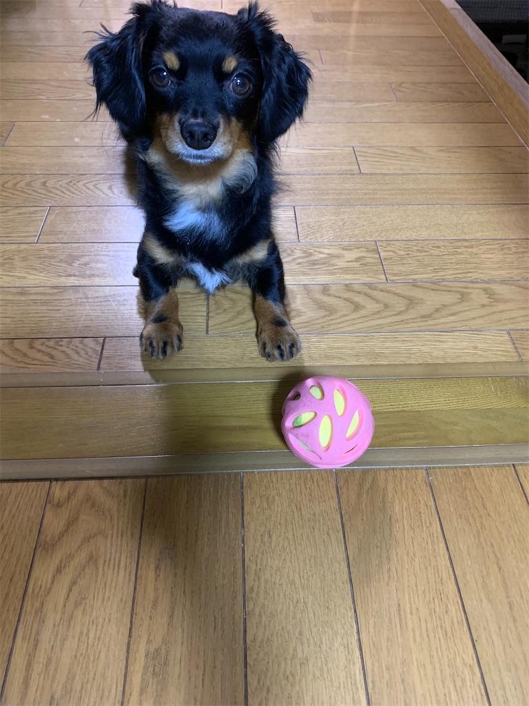 f:id:goukakuigakubu:20220722105106j:image f:id:goukakuigakubu:20220722105106j:image