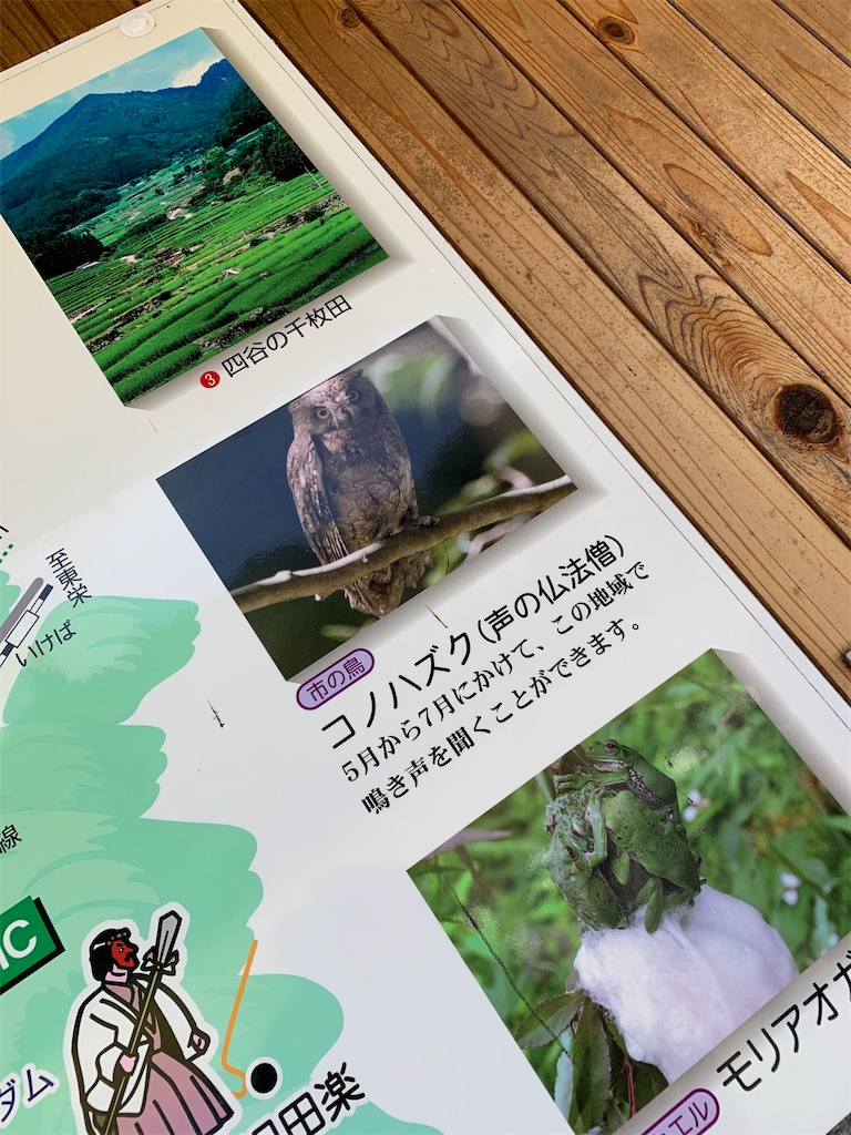 f:id:goukakuigakubu:20220725224559j:image f:id:goukakuigakubu:20220725224559j:image