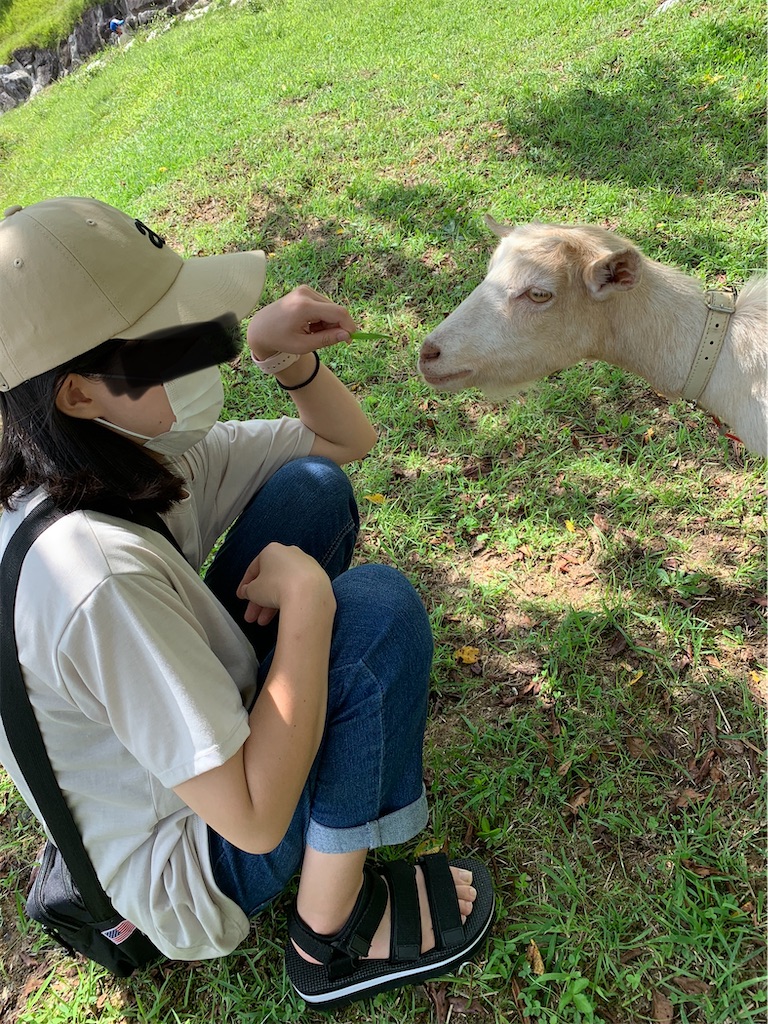 f:id:goukakuigakubu:20220726141200j:image