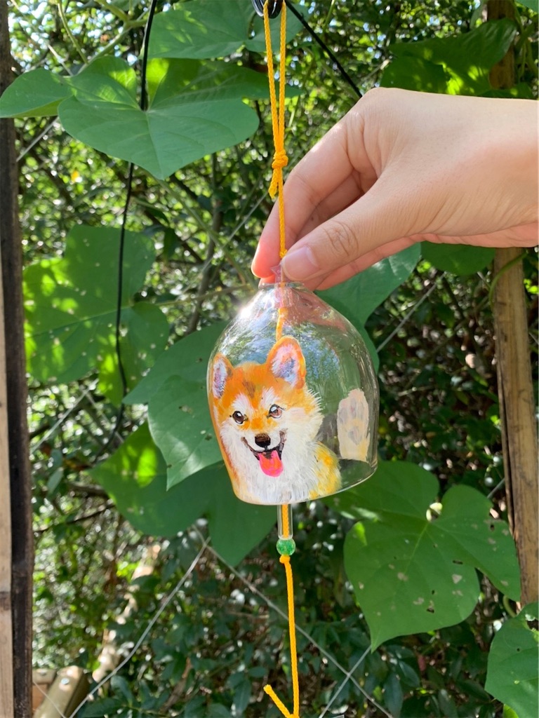 f:id:goukakuigakubu:20220728073345j:image