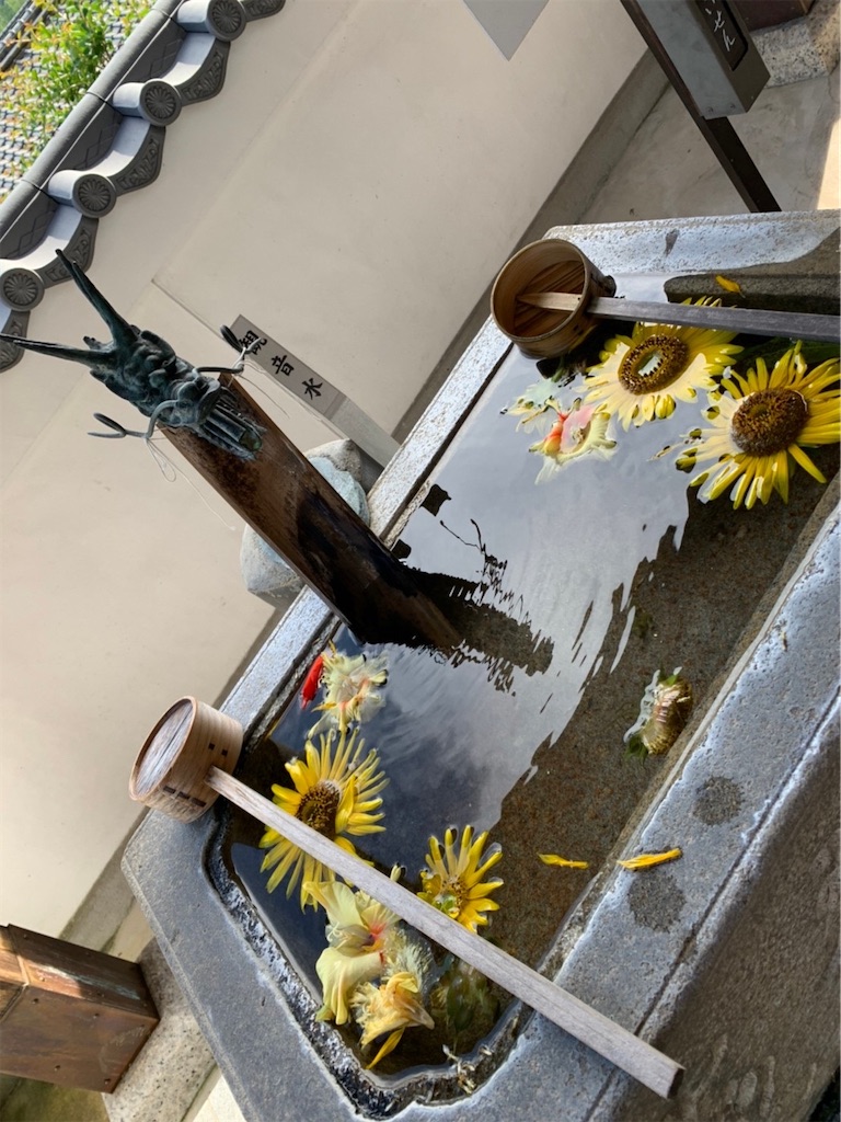 f:id:goukakuigakubu:20220728073415j:image