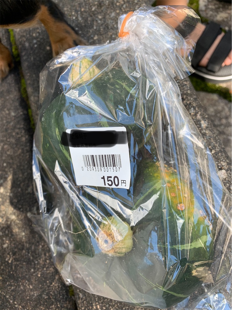 f:id:goukakuigakubu:20220729204610j:image