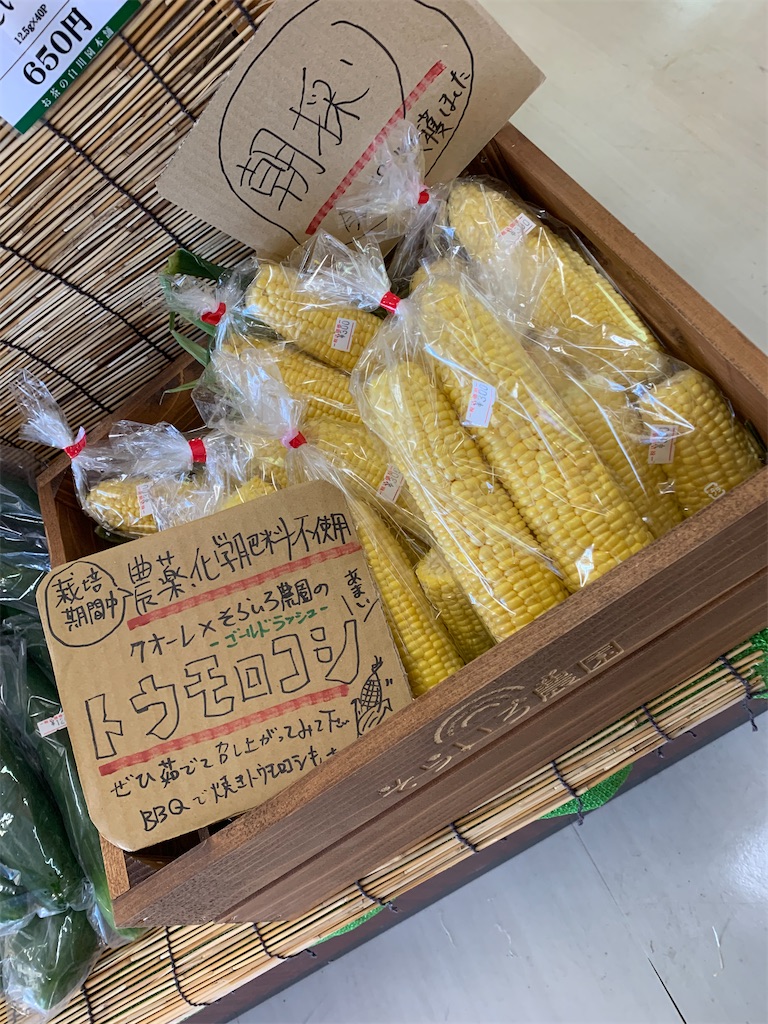 f:id:goukakuigakubu:20220729205925j:image