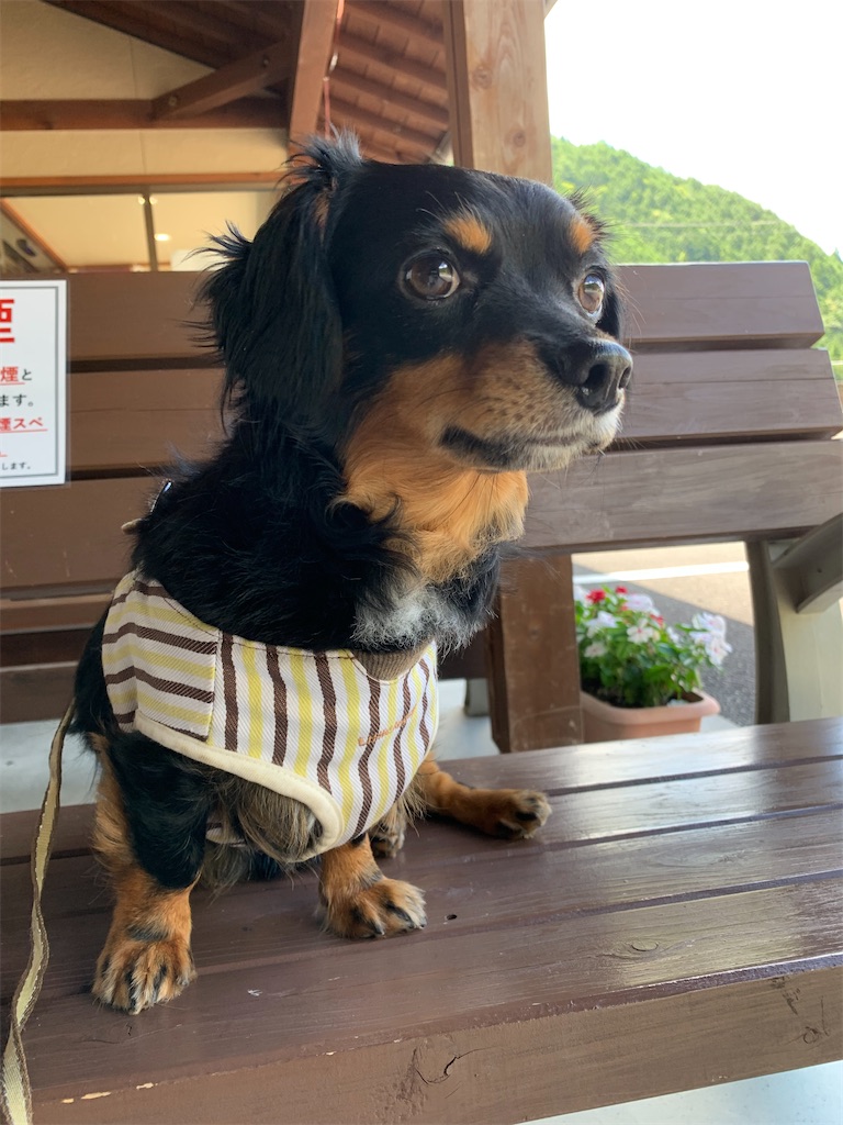 f:id:goukakuigakubu:20220729210253j:image