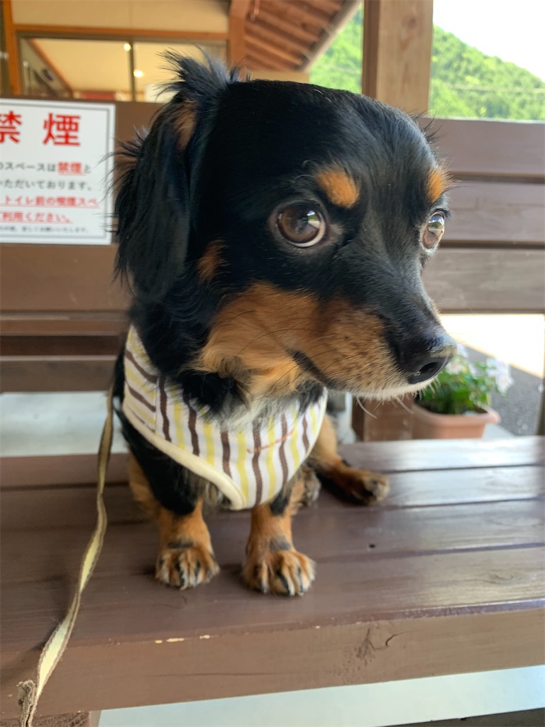 f:id:goukakuigakubu:20220729210256j:image
