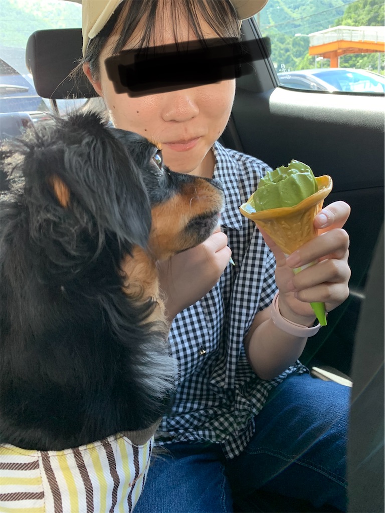 f:id:goukakuigakubu:20220730184216j:image