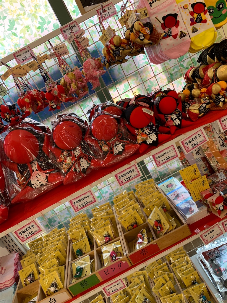 f:id:goukakuigakubu:20220730184551j:image