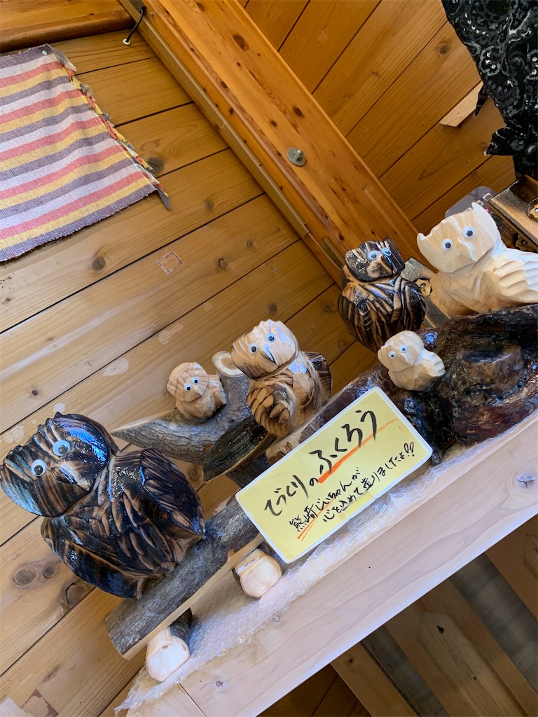 f:id:goukakuigakubu:20220731144856j:image
