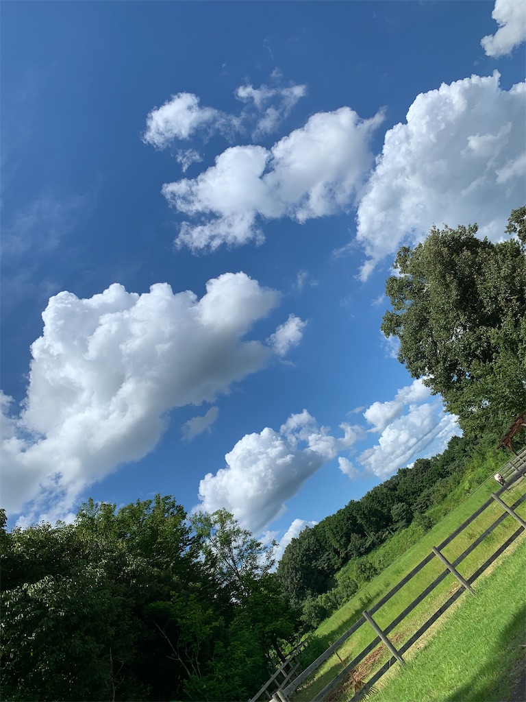 f:id:goukakuigakubu:20220801154852j:image f:id:goukakuigakubu:20220801154852j:image