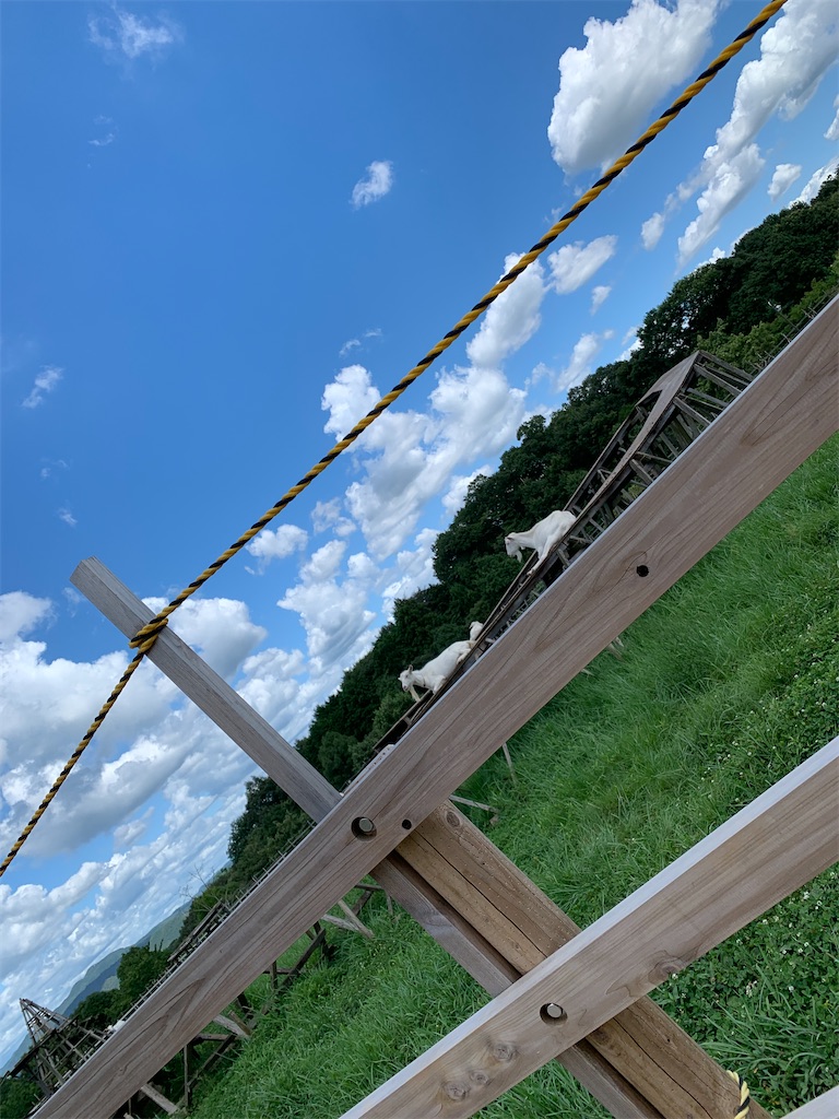 f:id:goukakuigakubu:20220801154855j:image f:id:goukakuigakubu:20220801154855j:image