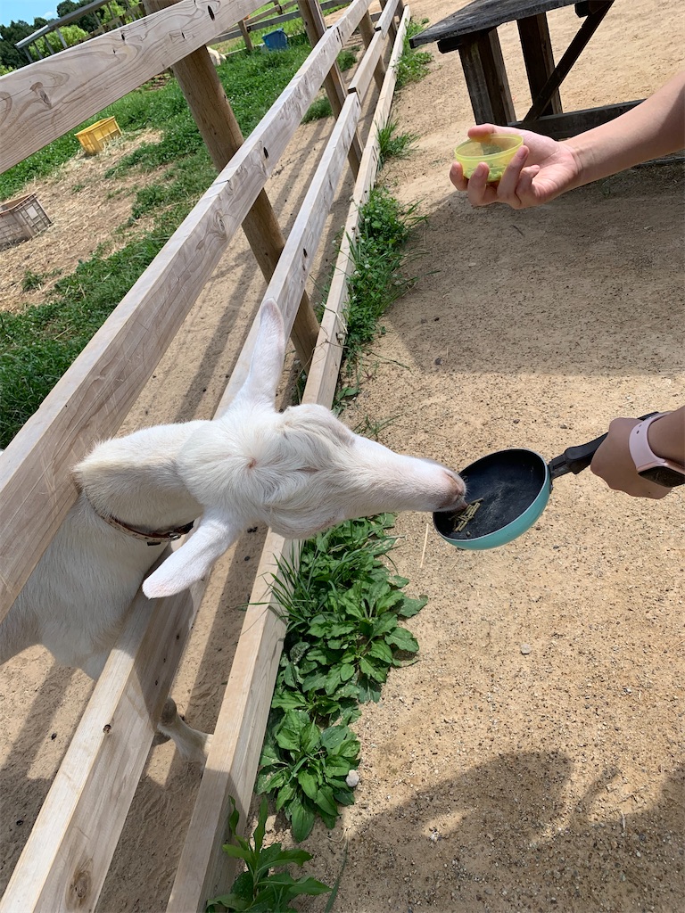 f:id:goukakuigakubu:20220801155007j:image f:id:goukakuigakubu:20220801155007j:image