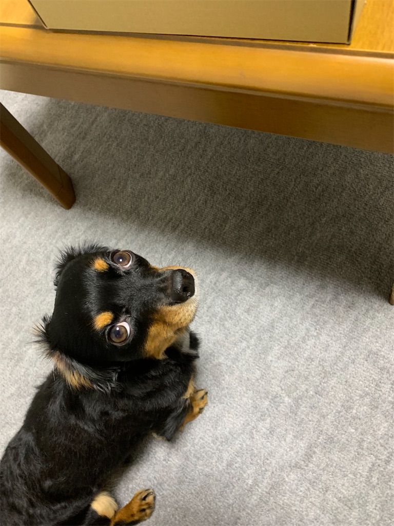 f:id:goukakuigakubu:20220802175857j:image f:id:goukakuigakubu:20220802175857j:image