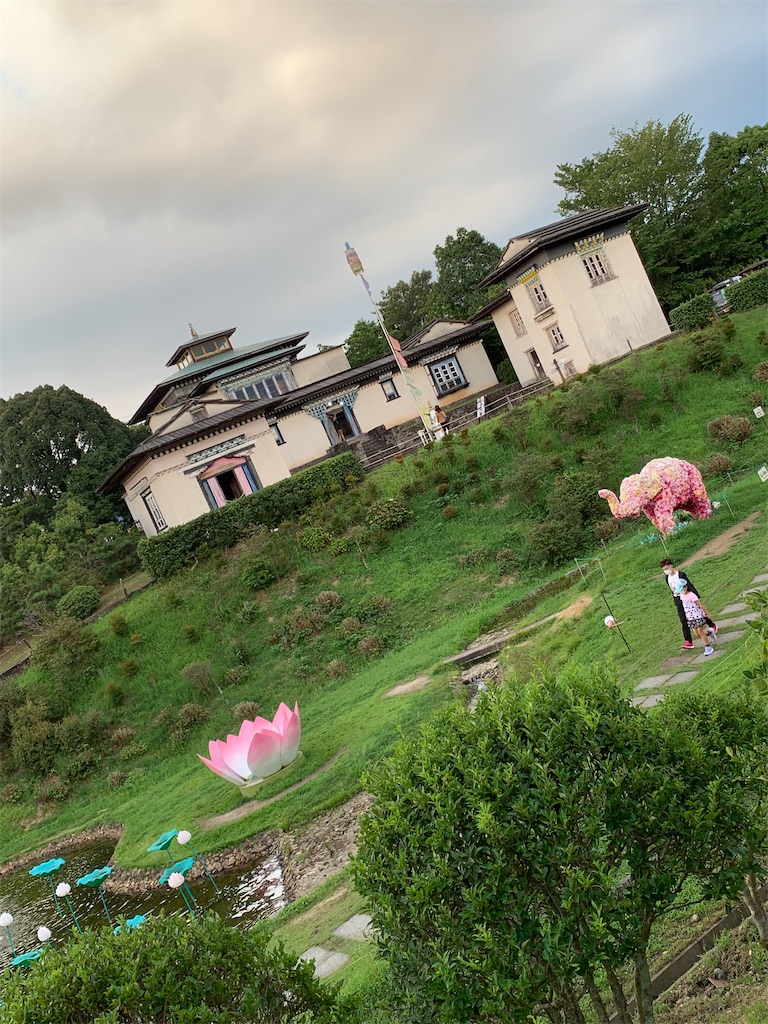f:id:goukakuigakubu:20220808233249j:image