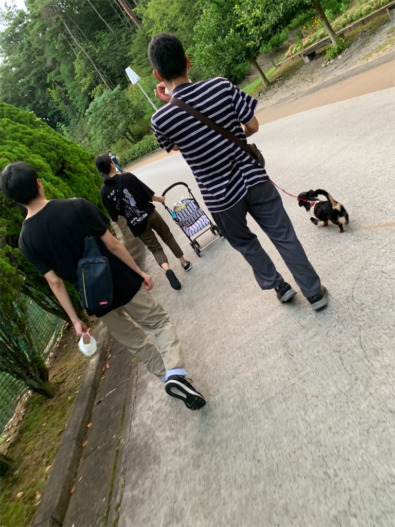 f:id:goukakuigakubu:20220808233403j:image