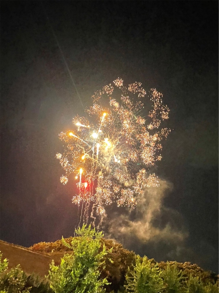 f:id:goukakuigakubu:20220809084954j:image