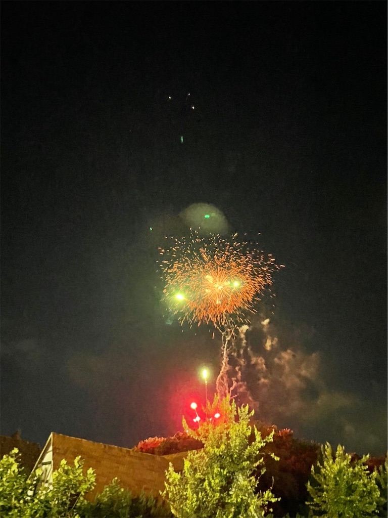 f:id:goukakuigakubu:20220809084957j:image