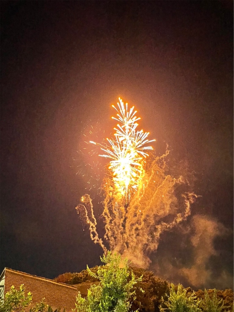 f:id:goukakuigakubu:20220809085000j:image