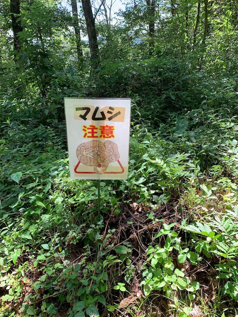 f:id:goukakuigakubu:20220811141612j:image