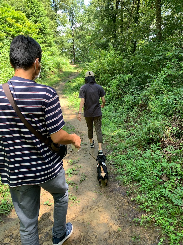 f:id:goukakuigakubu:20220811141616j:image