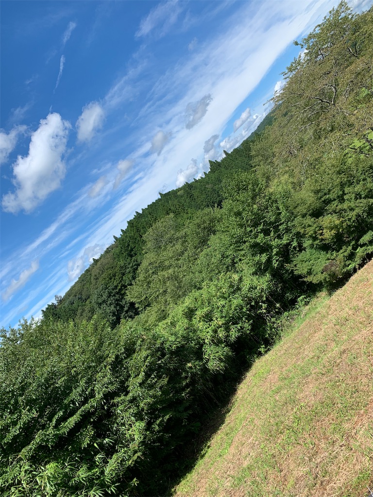 f:id:goukakuigakubu:20220811143516j:image