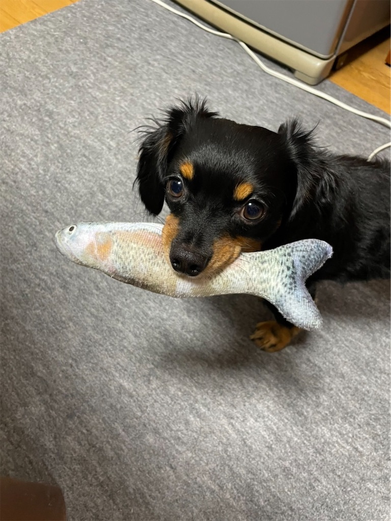 f:id:goukakuigakubu:20220815143937j:image