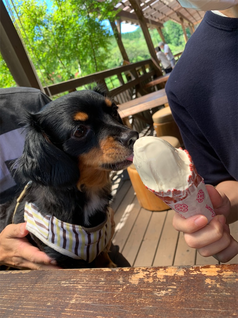 f:id:goukakuigakubu:20220815144213j:image