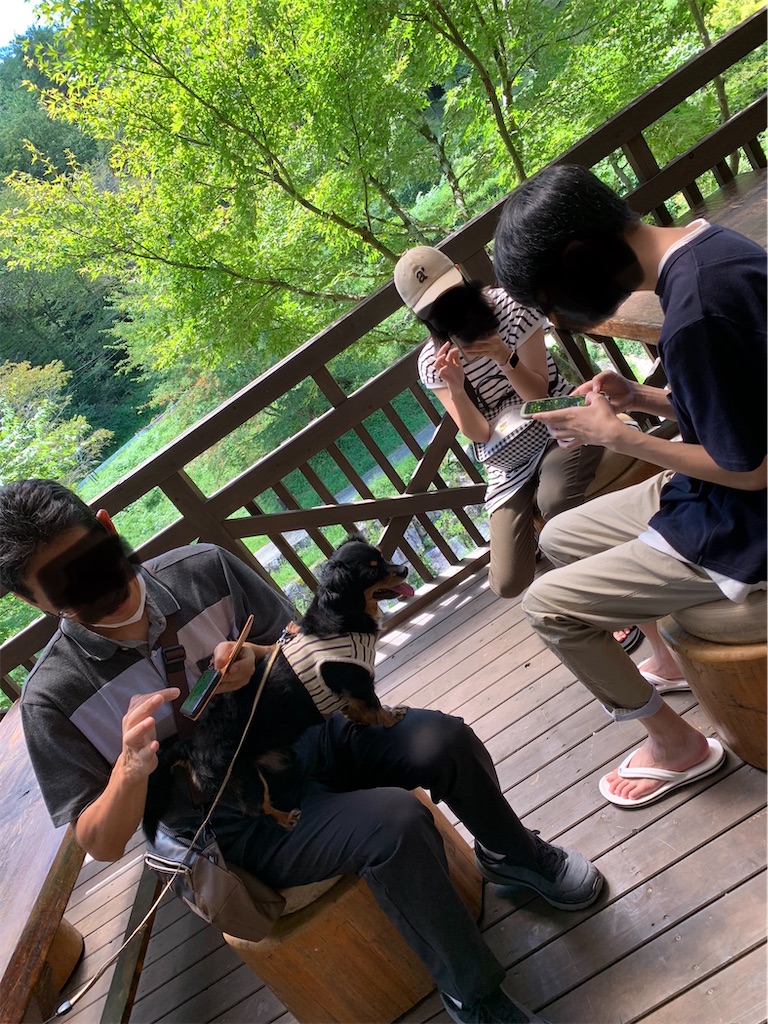 f:id:goukakuigakubu:20220815144215j:image
