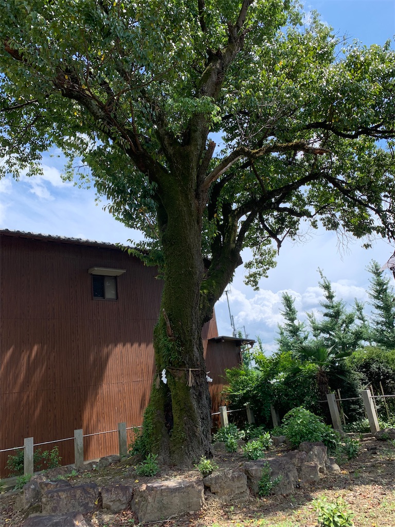 f:id:goukakuigakubu:20220817202656j:image