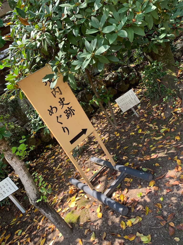 f:id:goukakuigakubu:20220817215019j:image