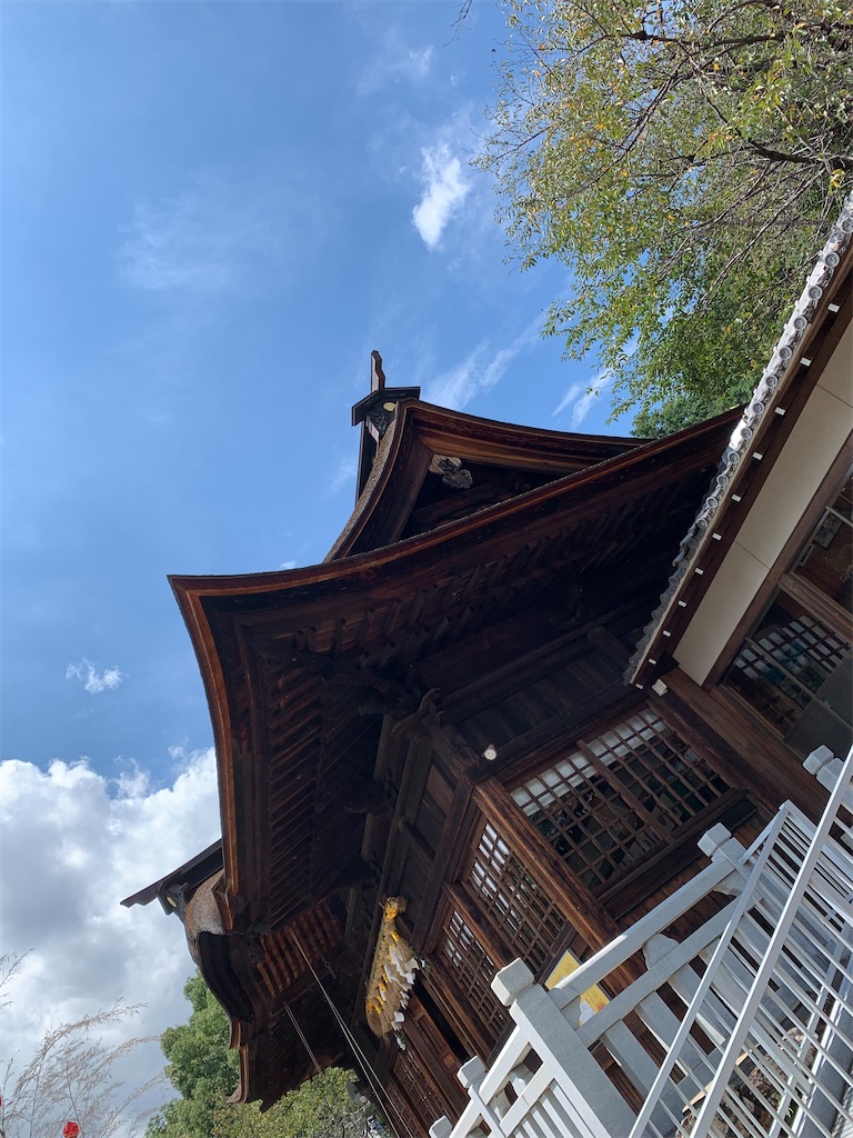 f:id:goukakuigakubu:20220817215441j:image