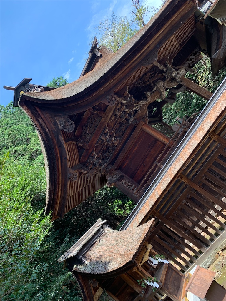f:id:goukakuigakubu:20220817215447j:image