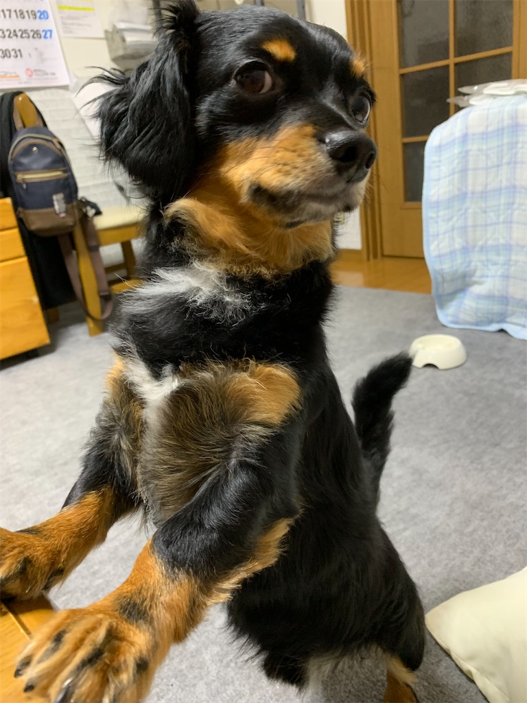 f:id:goukakuigakubu:20220819223302j:image f:id:goukakuigakubu:20220819223302j:image