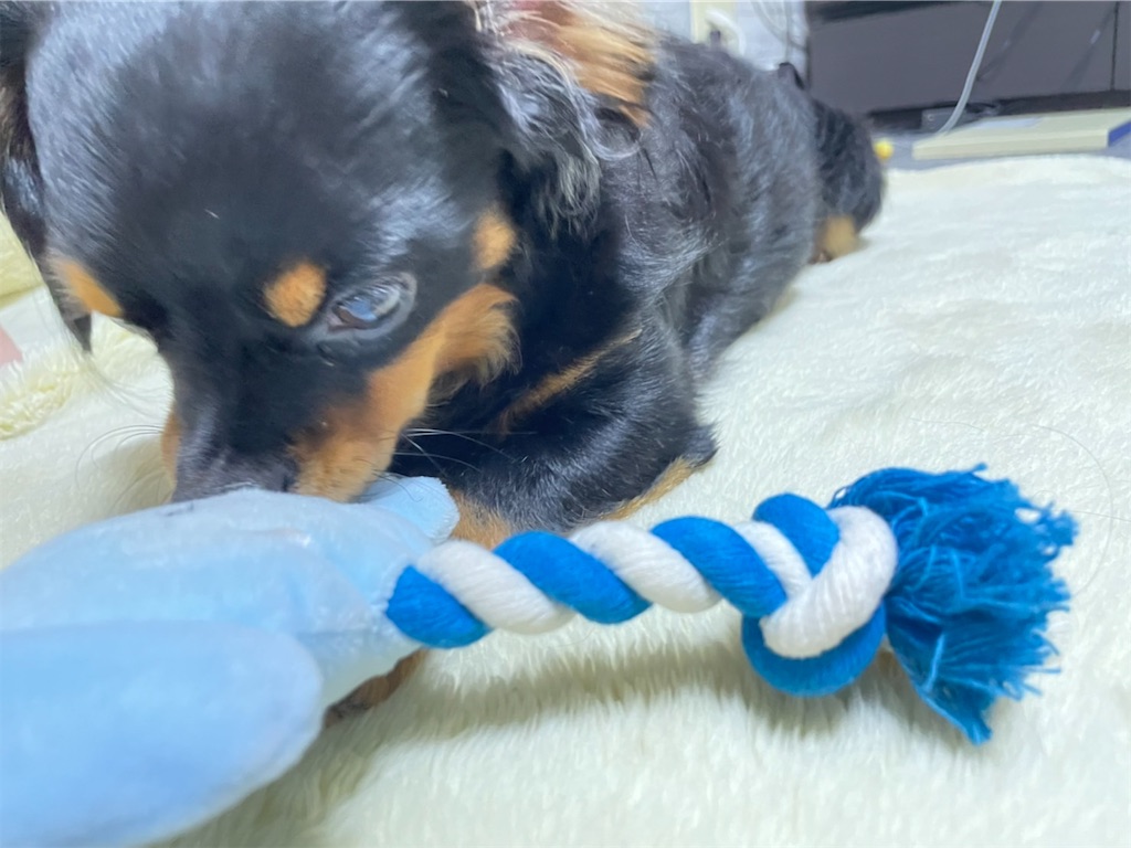 f:id:goukakuigakubu:20220822142957j:image