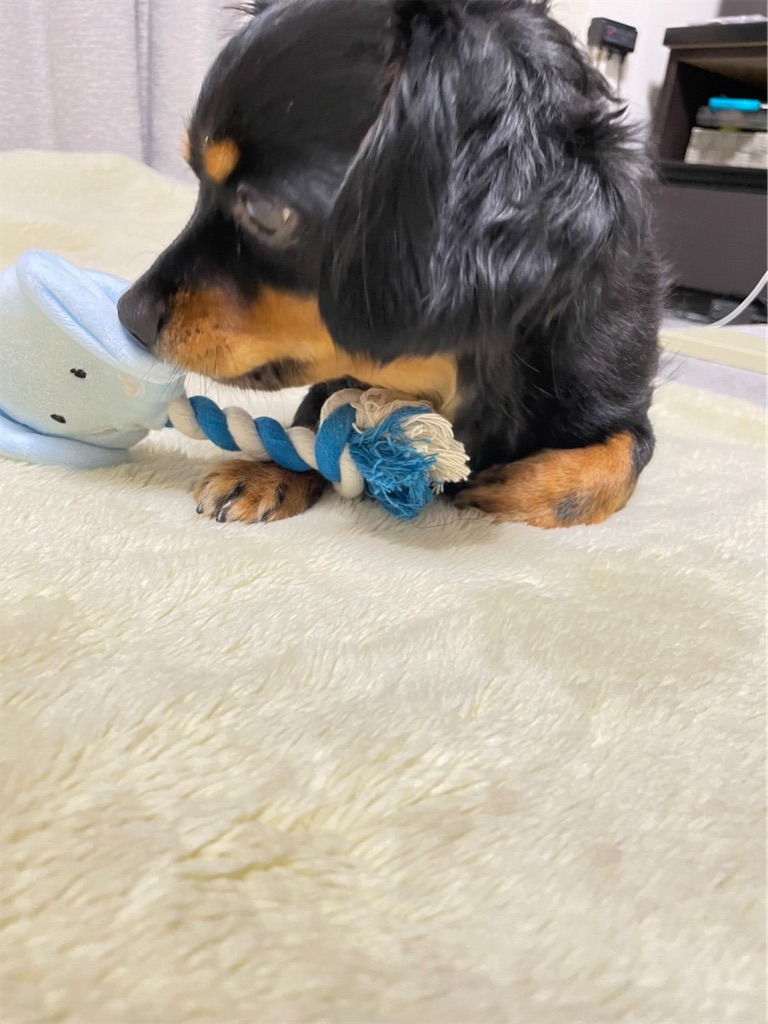 f:id:goukakuigakubu:20220823095703j:image