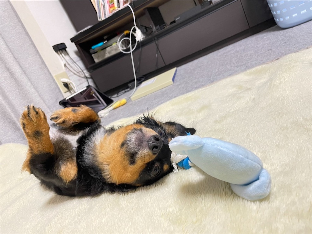f:id:goukakuigakubu:20220823095706j:image