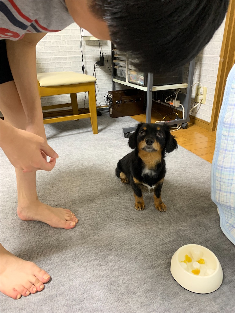 f:id:goukakuigakubu:20220824100309j:image
