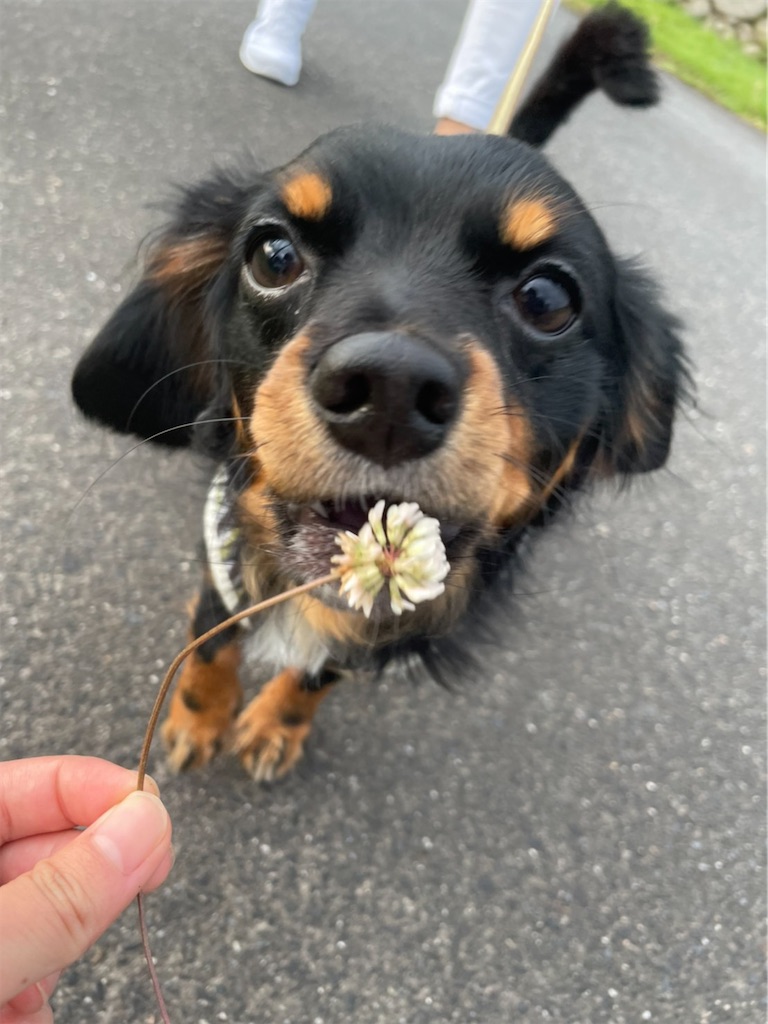 f:id:goukakuigakubu:20220825091123j:image