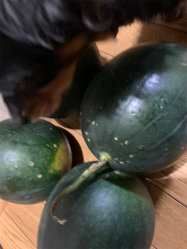 f:id:goukakuigakubu:20220825194150j:image