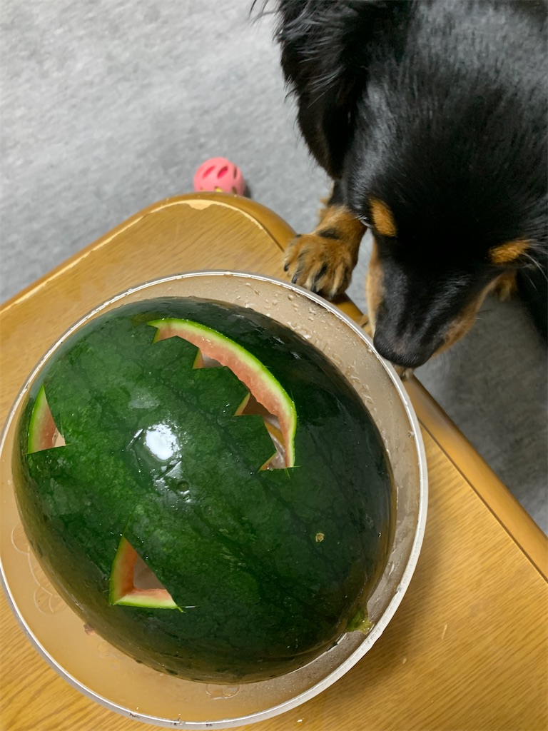 f:id:goukakuigakubu:20220825200917j:image