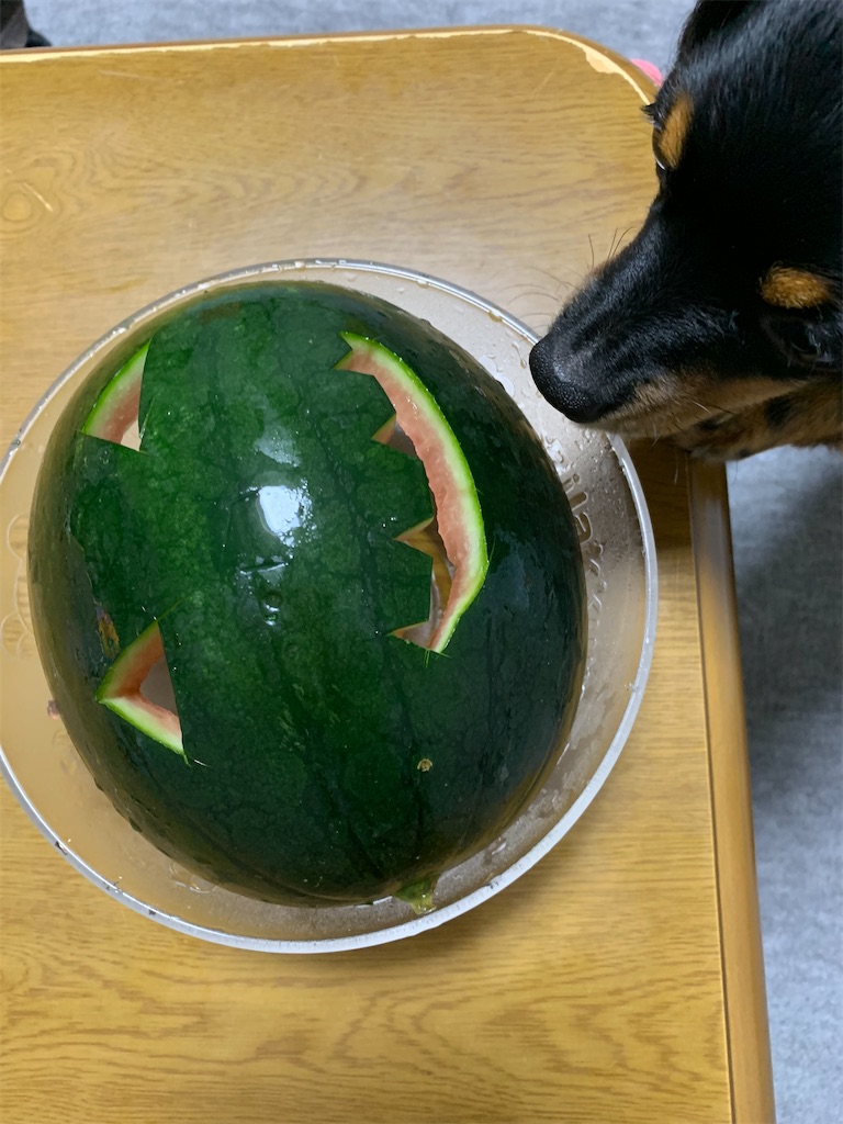 f:id:goukakuigakubu:20220825201218j:image