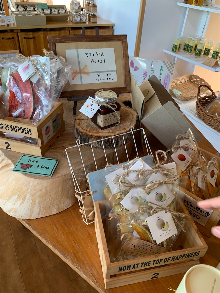f:id:goukakuigakubu:20220829215831j:image