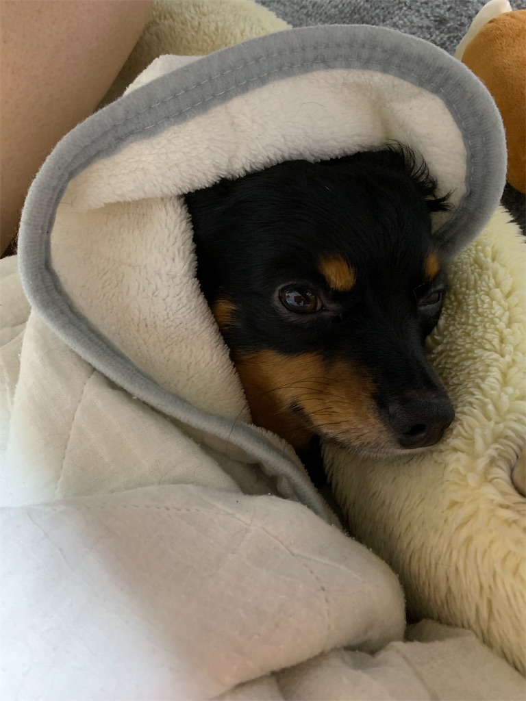f:id:goukakuigakubu:20220902091330j:image