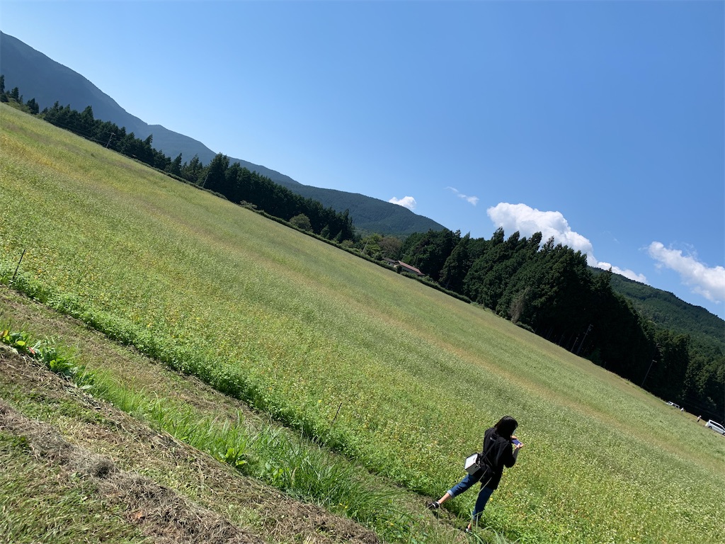 f:id:goukakuigakubu:20221004080521j:image