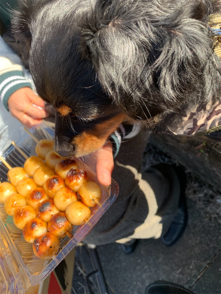 f:id:goukakuigakubu:20221122204813j:image