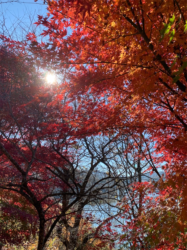 f:id:goukakuigakubu:20221122205014j:image