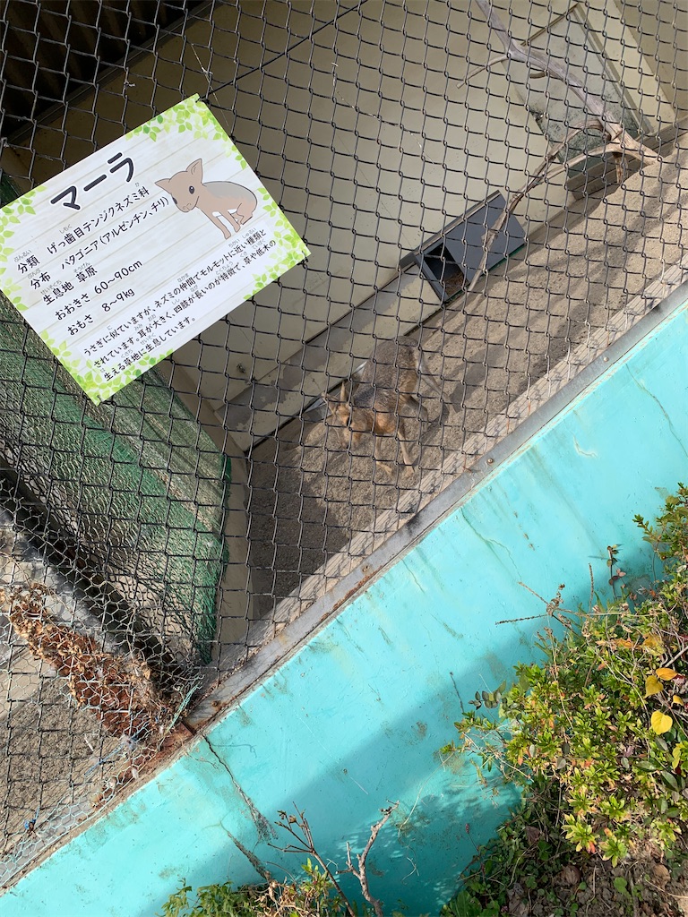 f:id:goukakuigakubu:20221123211338j:image