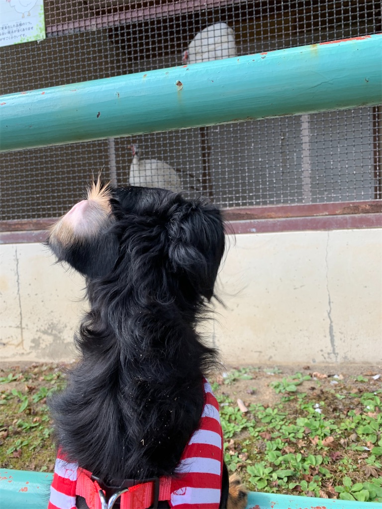 f:id:goukakuigakubu:20221123211349j:image