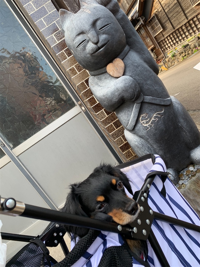 f:id:goukakuigakubu:20221123212738j:image