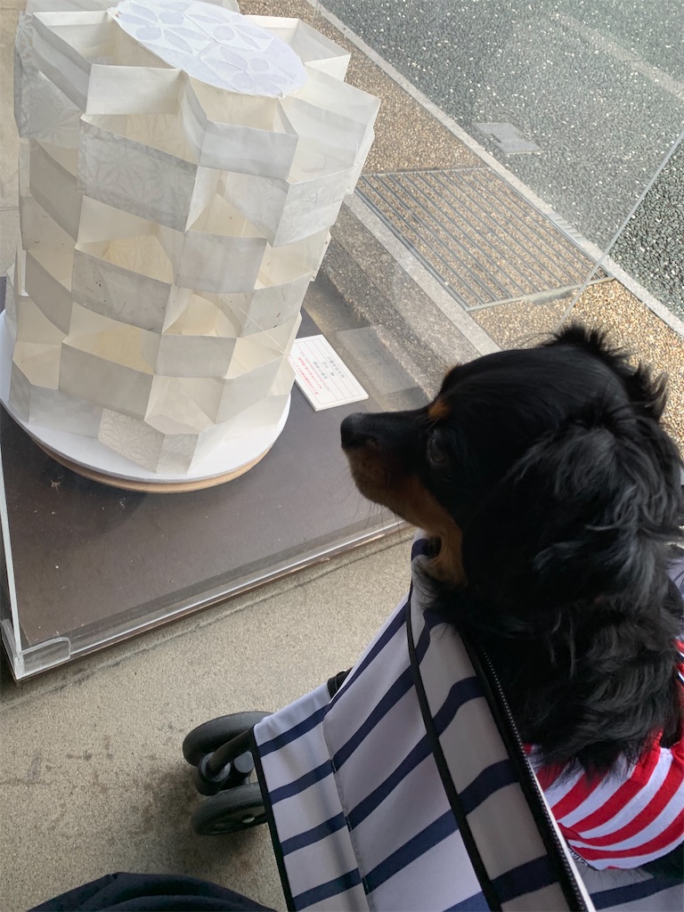 f:id:goukakuigakubu:20221123212848j:image